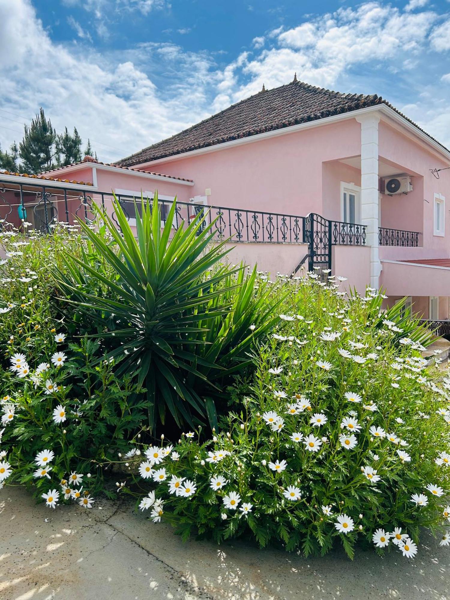 Mae Home Story Caldas Da Rainha Kültér fotó