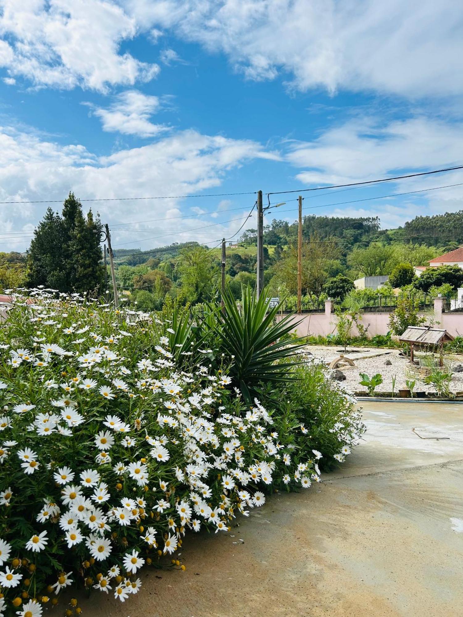 Mae Home Story Caldas Da Rainha Kültér fotó